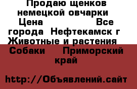 Продаю щенков немецкой овчарки › Цена ­ 5000-6000 - Все города, Нефтекамск г. Животные и растения » Собаки   . Приморский край